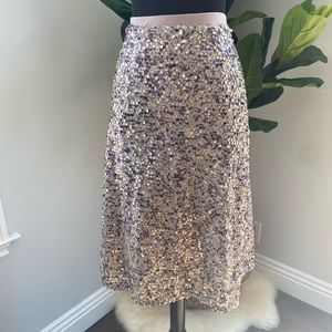 Plus Size Sequin Midi Skirt 2X